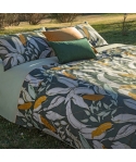 BORNEO Comforter