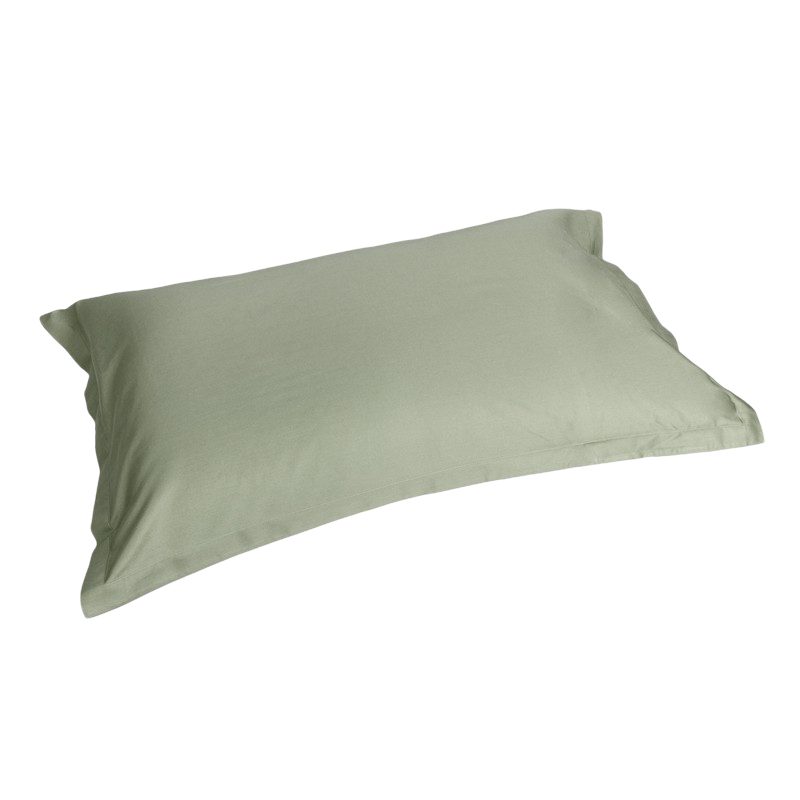 TRECENTO Pair of pillowcases